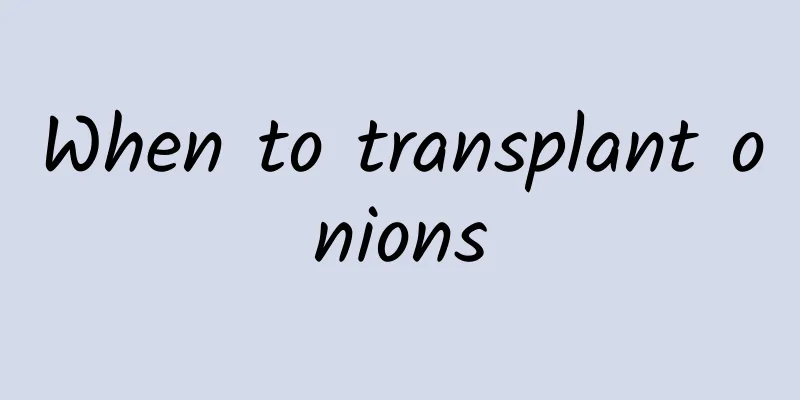 When to transplant onions