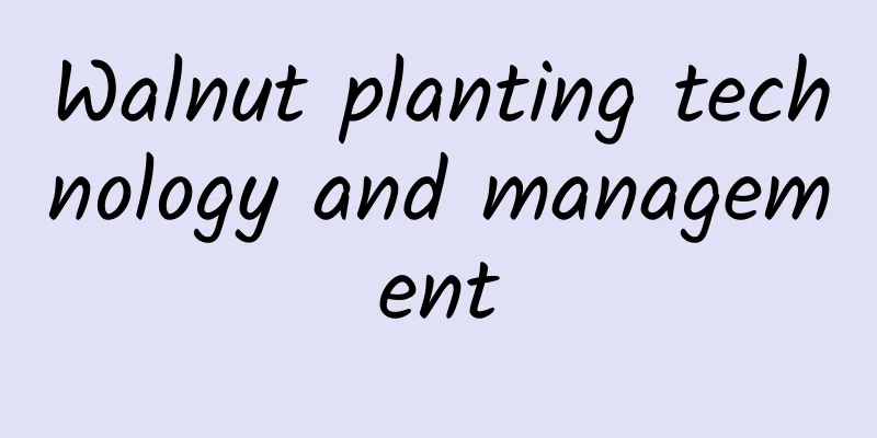 Walnut planting technology and management