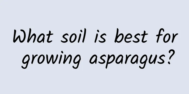 What soil is best for growing asparagus?