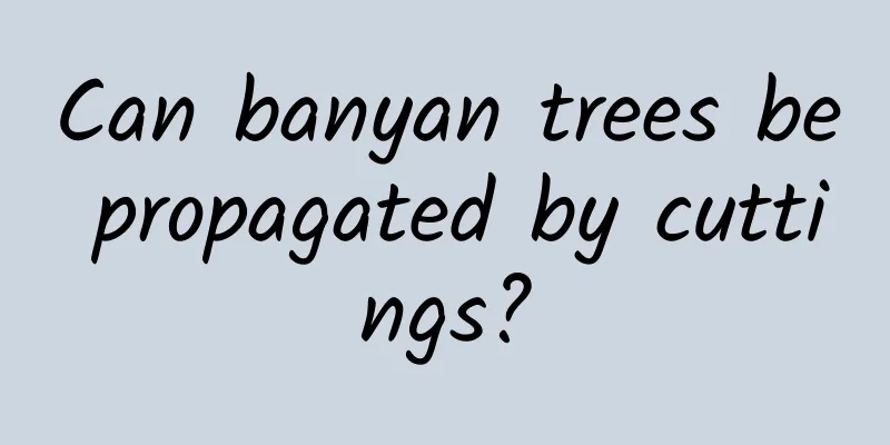 Can banyan trees be propagated by cuttings?