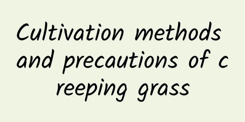 Cultivation methods and precautions of creeping grass