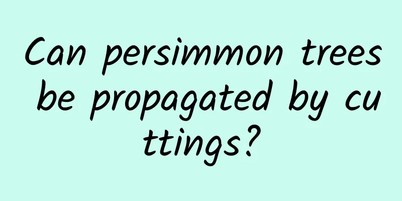 Can persimmon trees be propagated by cuttings?