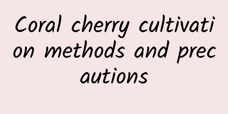 Coral cherry cultivation methods and precautions