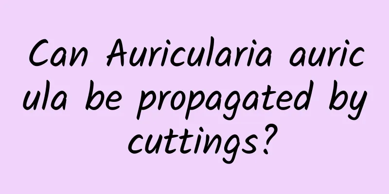 Can Auricularia auricula be propagated by cuttings?