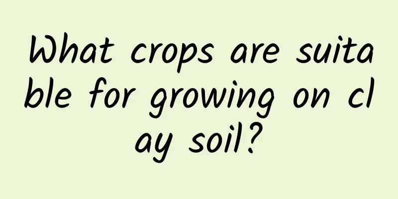 What crops are suitable for growing on clay soil?