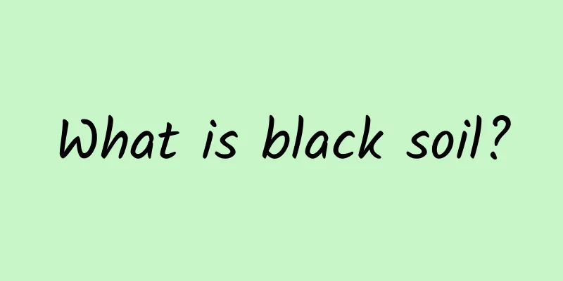 What is black soil?