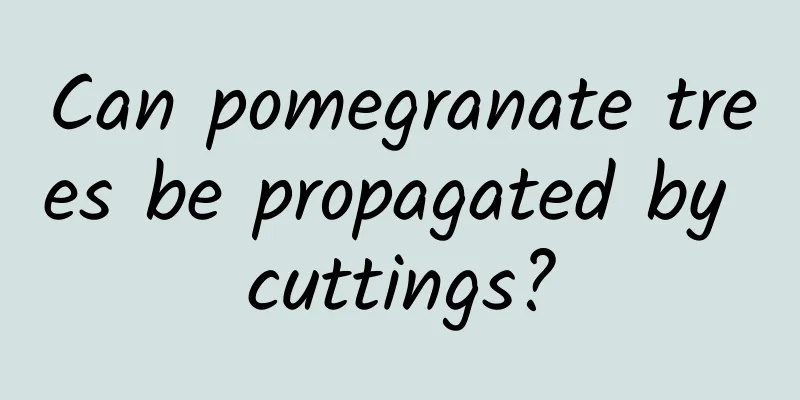 Can pomegranate trees be propagated by cuttings?