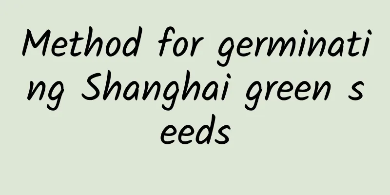 Method for germinating Shanghai green seeds