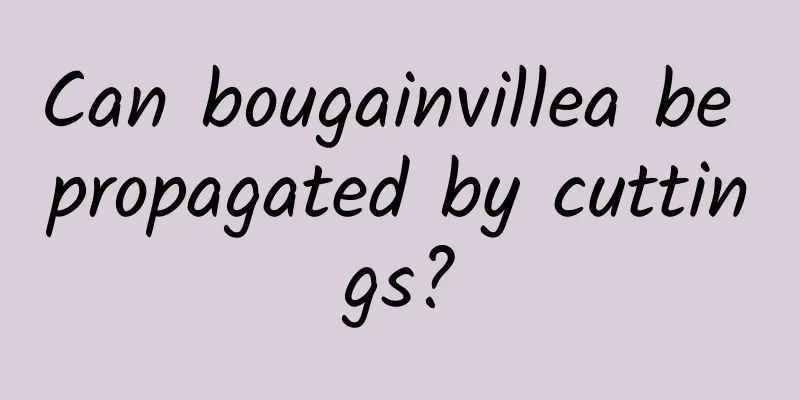 Can bougainvillea be propagated by cuttings?