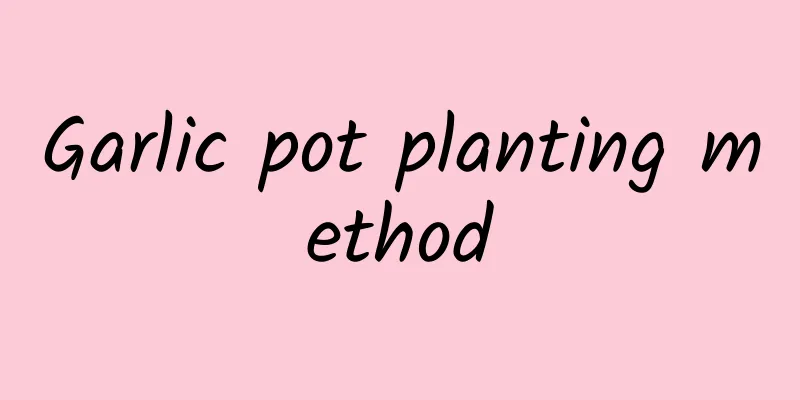 Garlic pot planting method