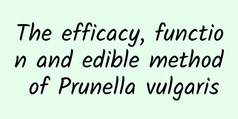 The efficacy, function and edible method of Prunella vulgaris