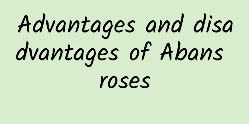 Advantages and disadvantages of Abans roses