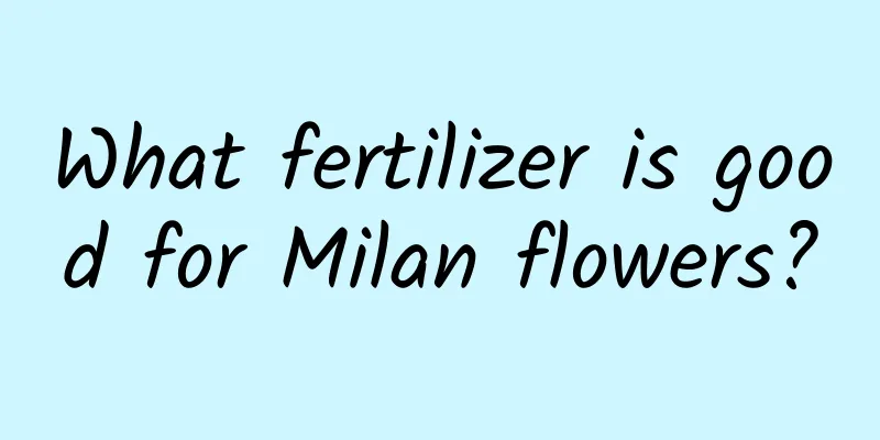 What fertilizer is good for Milan flowers?