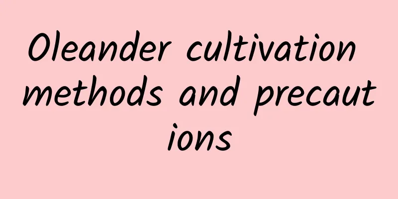 Oleander cultivation methods and precautions