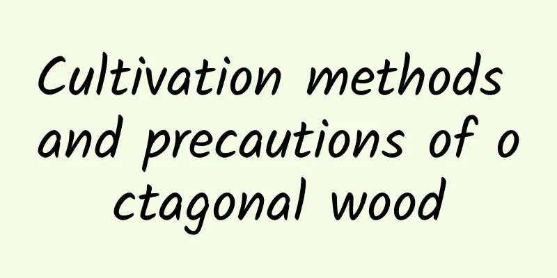 Cultivation methods and precautions of octagonal wood