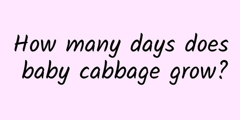 How many days does baby cabbage grow?