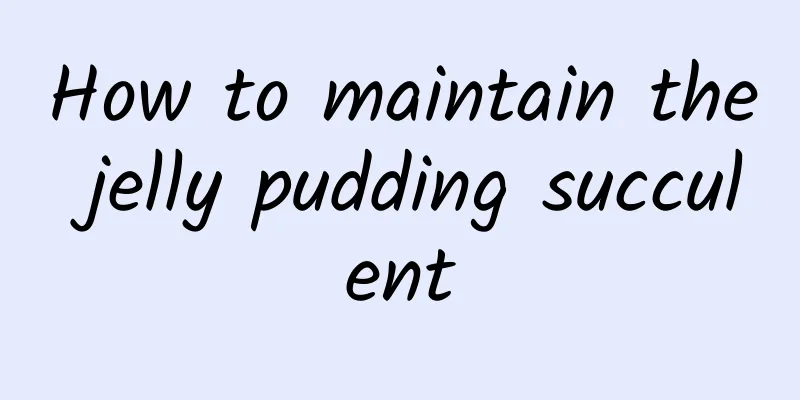 How to maintain the jelly pudding succulent