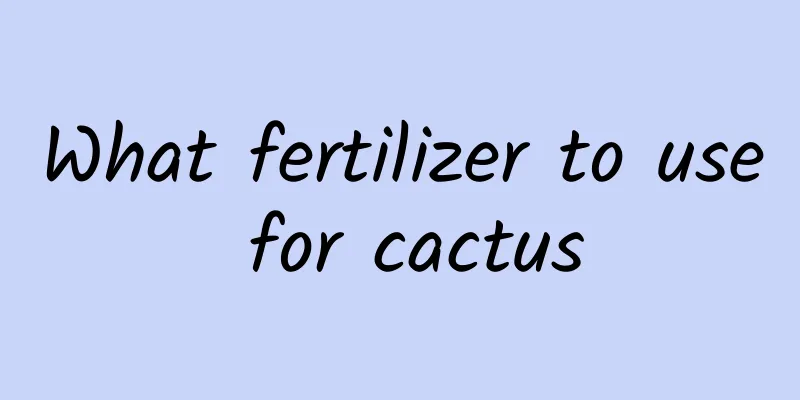 What fertilizer to use for cactus
