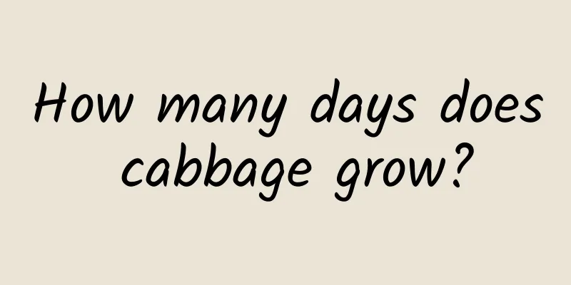 How many days does cabbage grow?