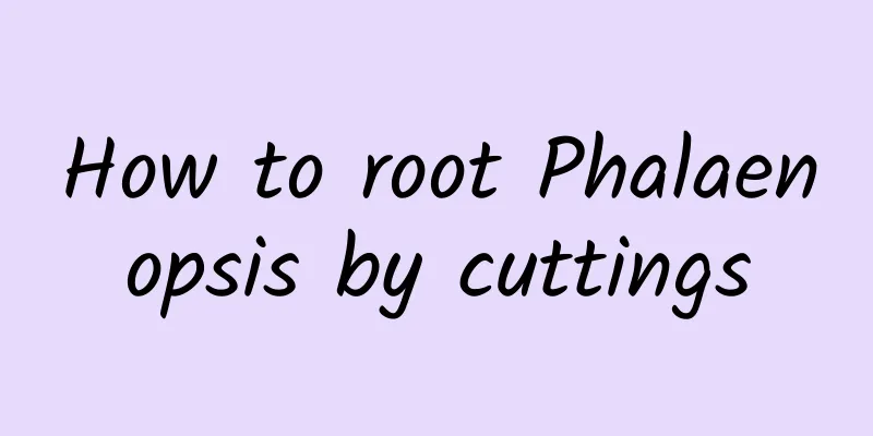 How to root Phalaenopsis by cuttings