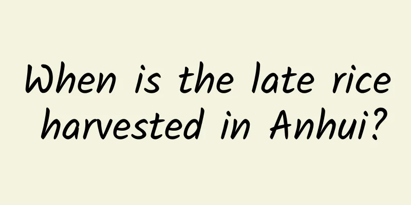 When is the late rice harvested in Anhui?