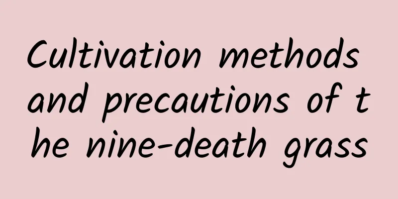 Cultivation methods and precautions of the nine-death grass