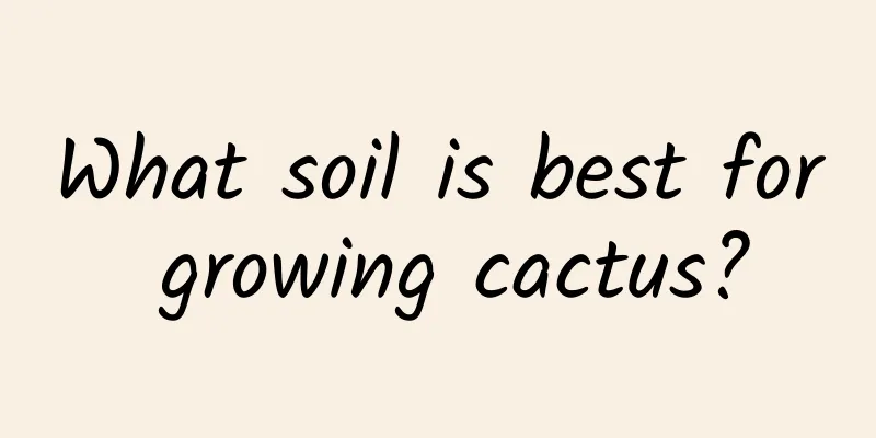 What soil is best for growing cactus?