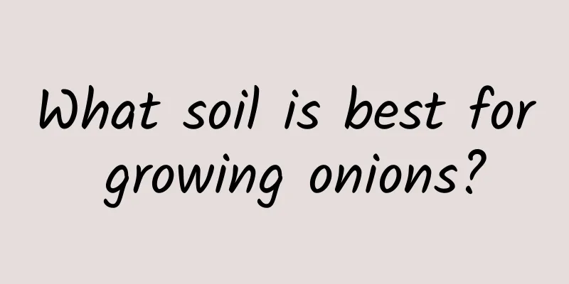 What soil is best for growing onions?