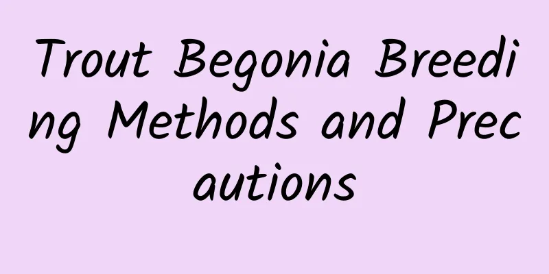 Trout Begonia Breeding Methods and Precautions