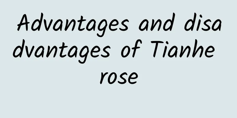 Advantages and disadvantages of Tianhe rose