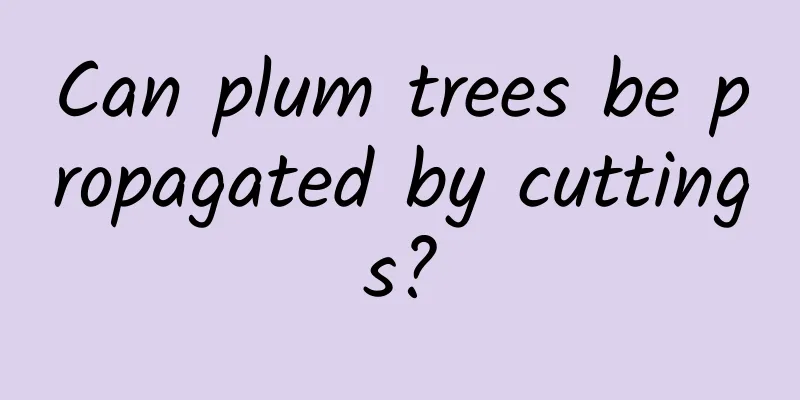 Can plum trees be propagated by cuttings?