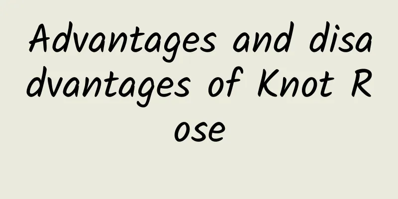 Advantages and disadvantages of Knot Rose