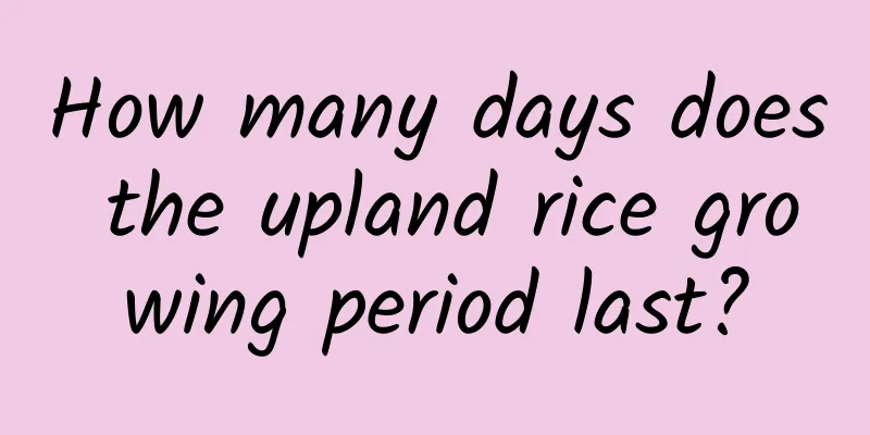 How many days does the upland rice growing period last?