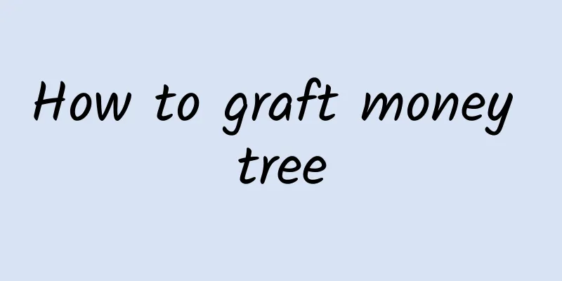 How to graft money tree