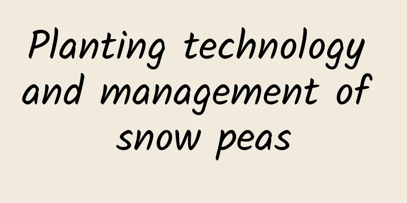 Planting technology and management of snow peas