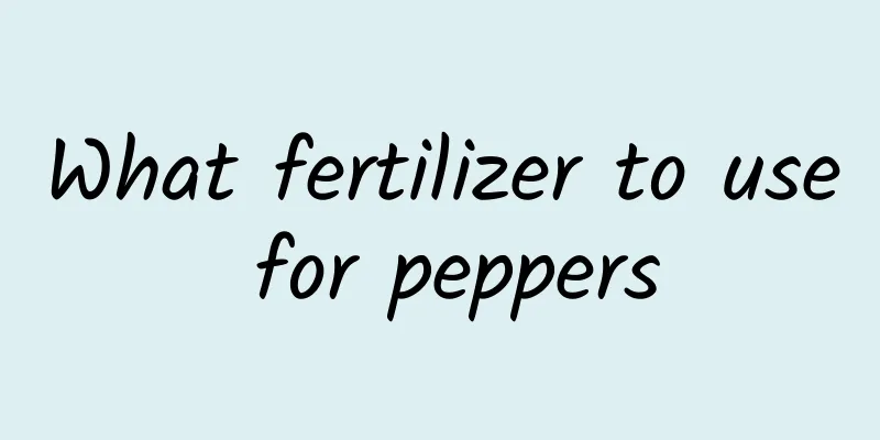 What fertilizer to use for peppers