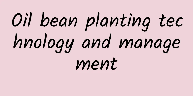 Oil bean planting technology and management