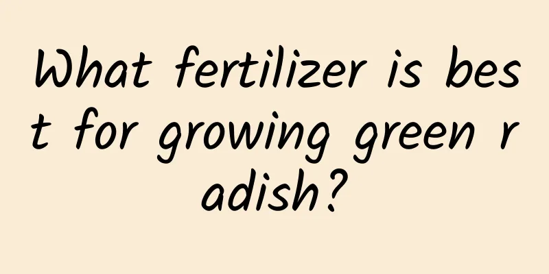 What fertilizer is best for growing green radish?