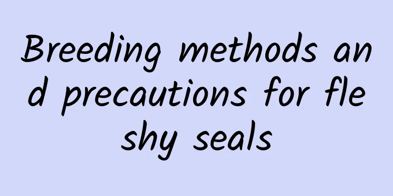 Breeding methods and precautions for fleshy seals