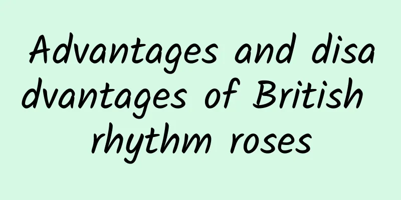 Advantages and disadvantages of British rhythm roses