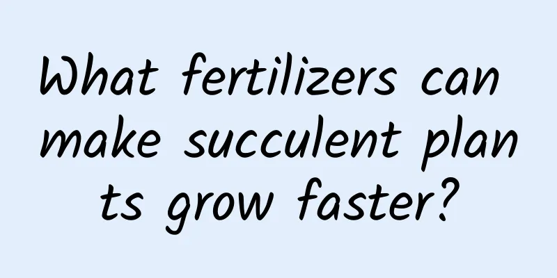 What fertilizers can make succulent plants grow faster?