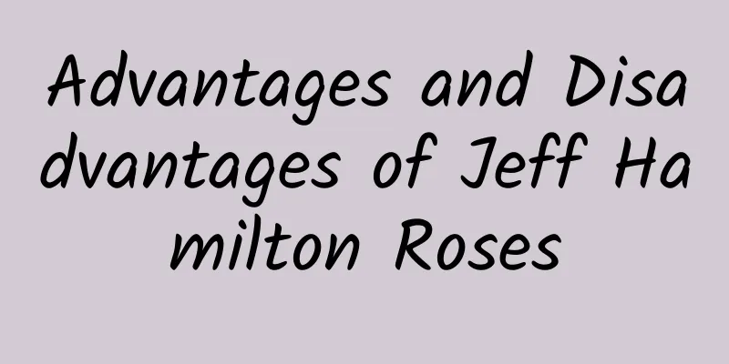 Advantages and Disadvantages of Jeff Hamilton Roses