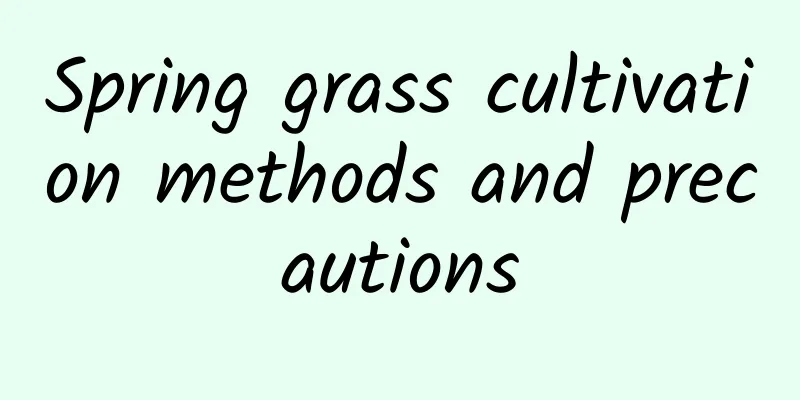 Spring grass cultivation methods and precautions