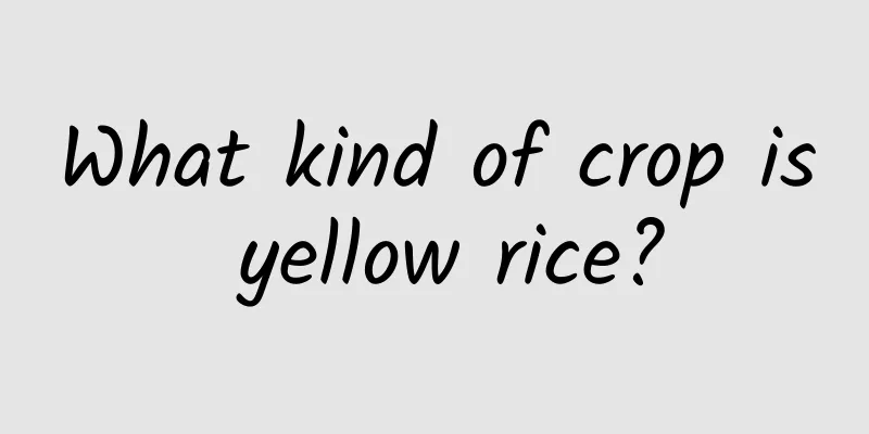 What kind of crop is yellow rice?