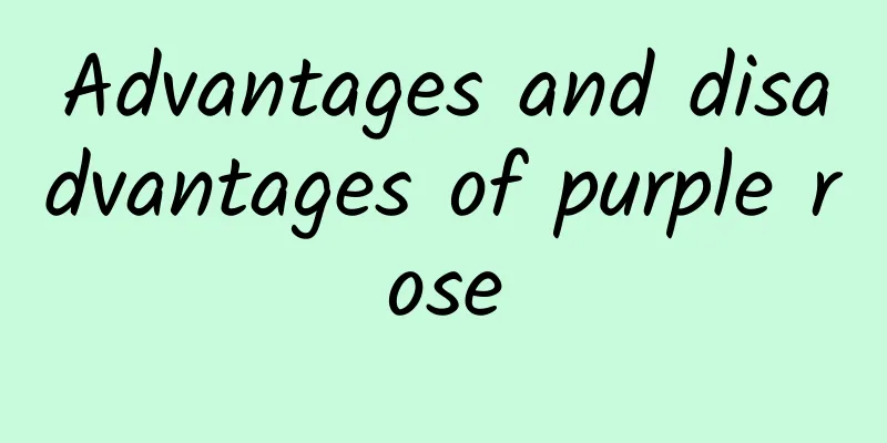 Advantages and disadvantages of purple rose