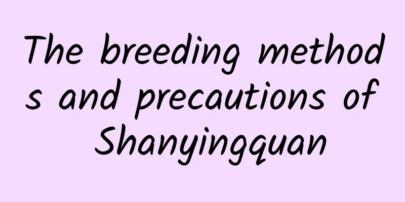 The breeding methods and precautions of Shanyingquan