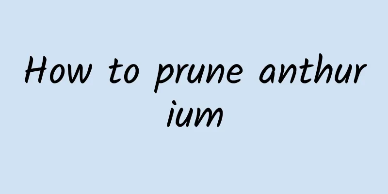 How to prune anthurium