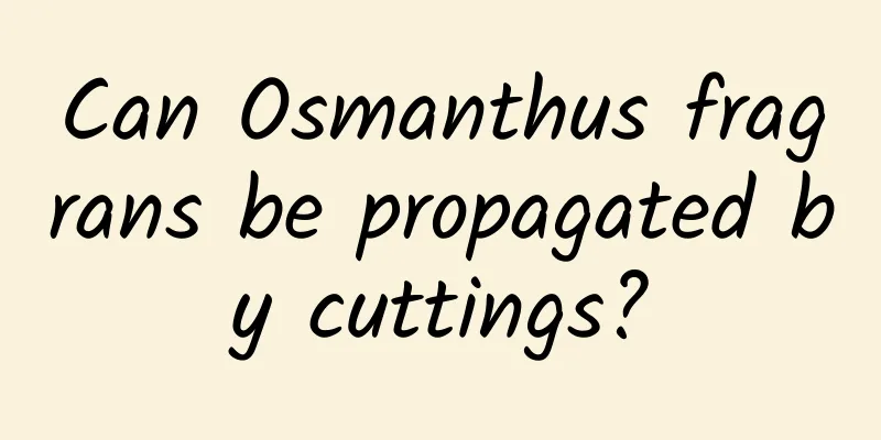 Can Osmanthus fragrans be propagated by cuttings?
