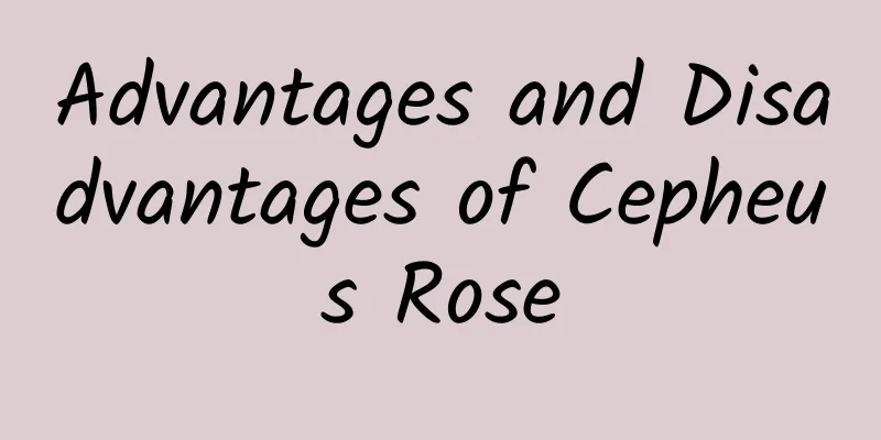 Advantages and Disadvantages of Cepheus Rose