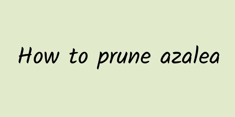 How to prune azalea